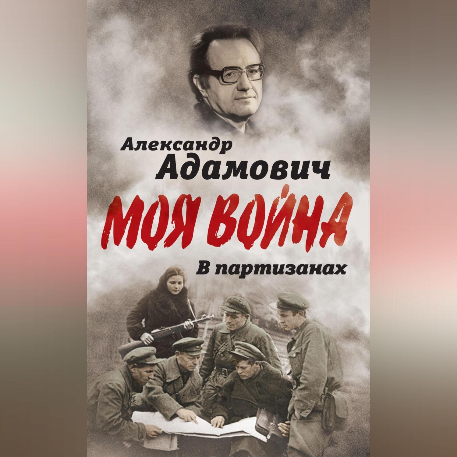 Обложка книги «В партизанах»