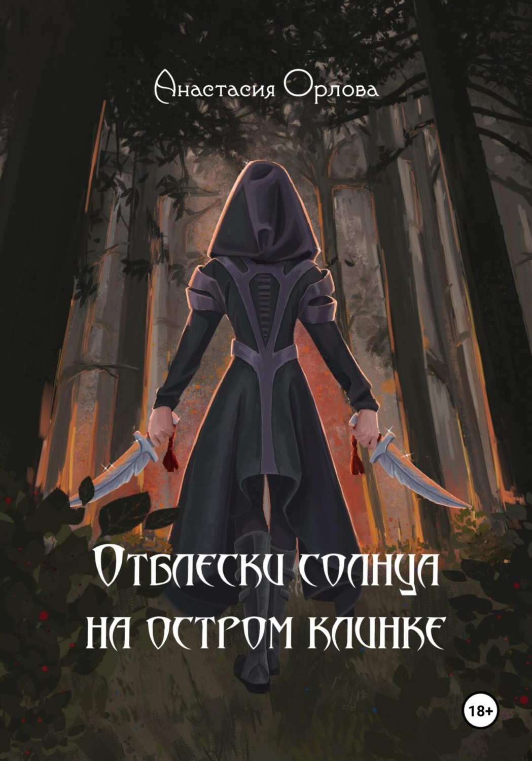 Обложка книги «Отблески солнца на остром клинке»