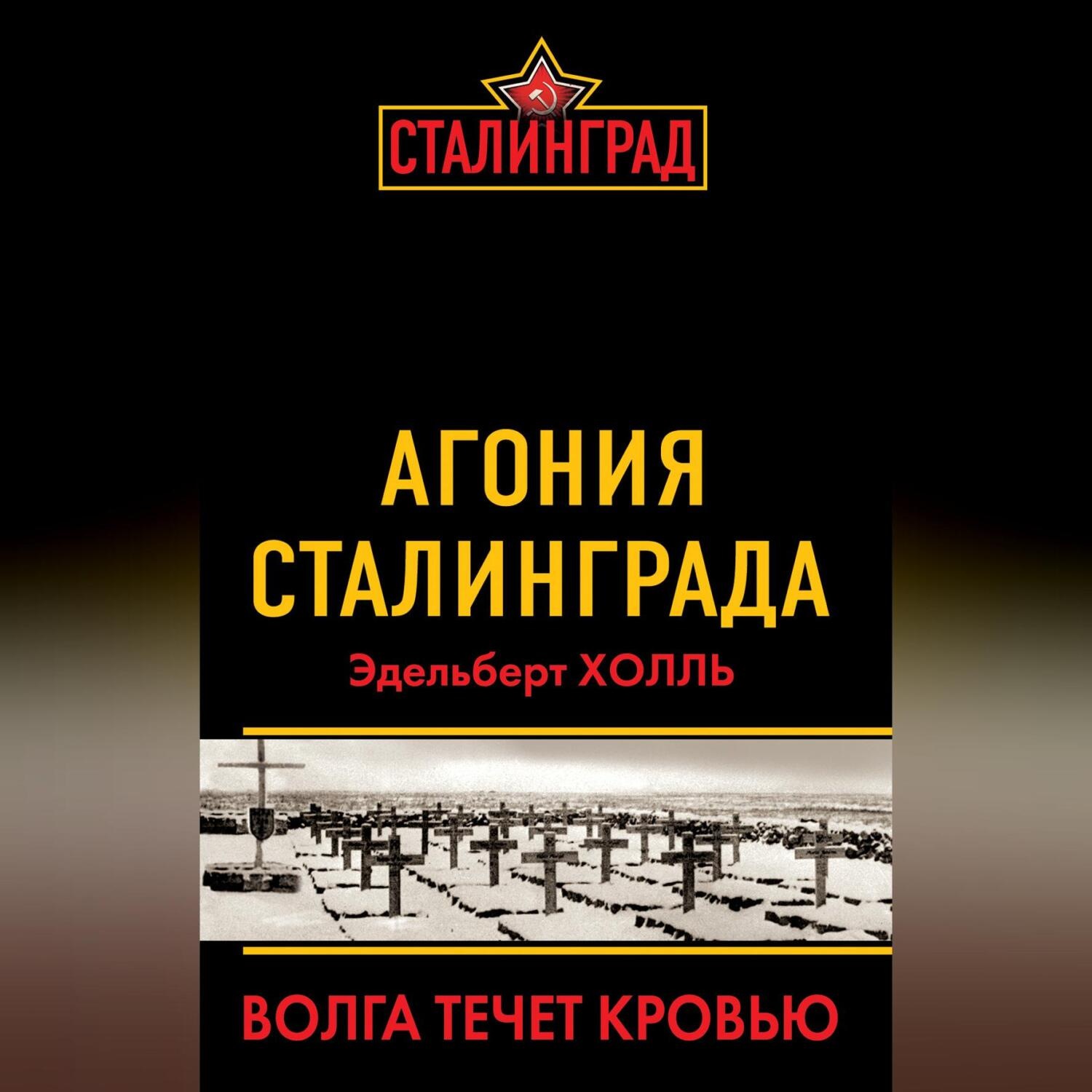 Обложка книги «Агония Сталинграда. Волга течет кровью»