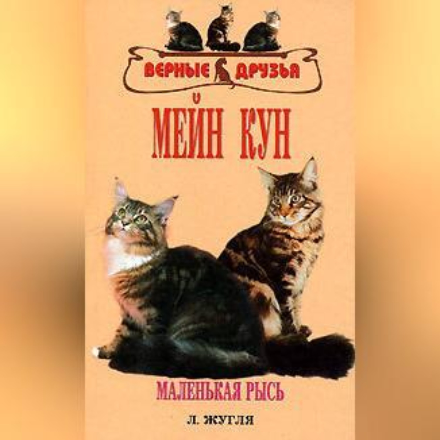 Обложка книги «Мейн кун»