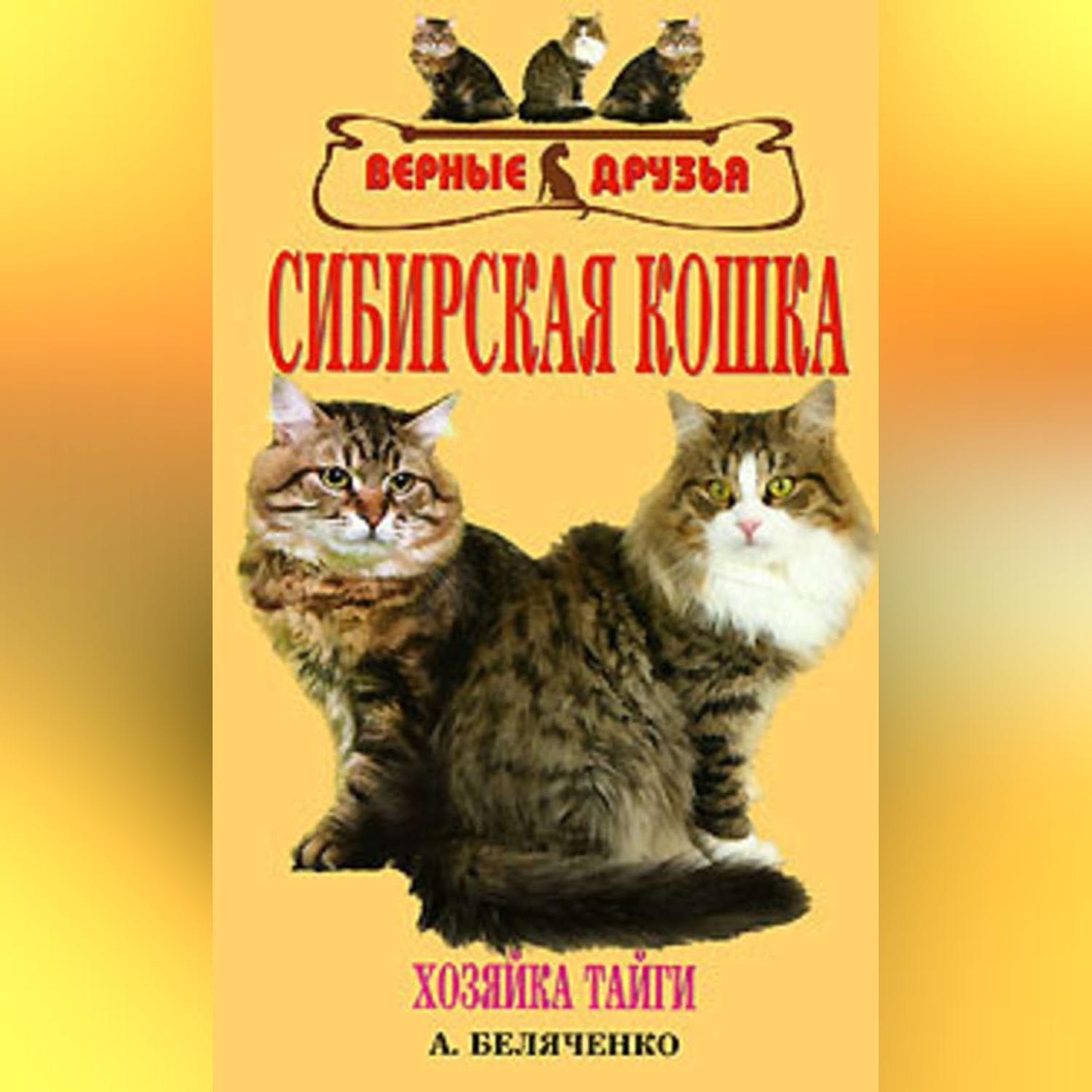 Обложка книги «Сибирская кошка»