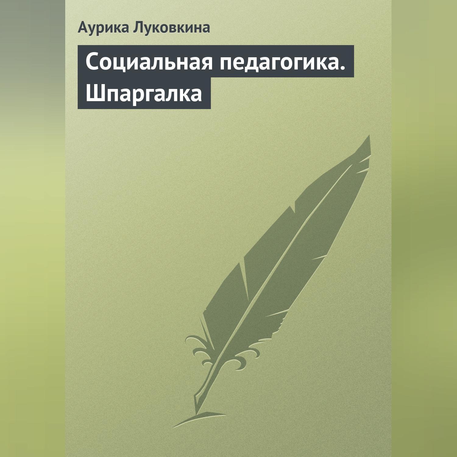 Обложка книги «Социальная педагогика. Шпаргалка»