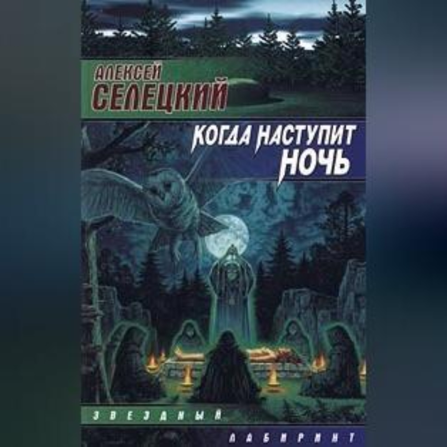 Обложка книги «Когда наступит ночь»