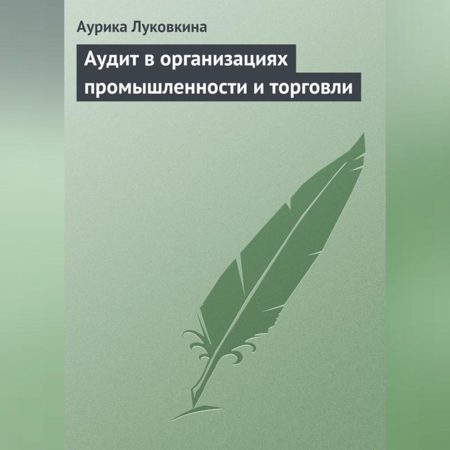 Обложка книги «Аудит в организациях промышленности и торговли»