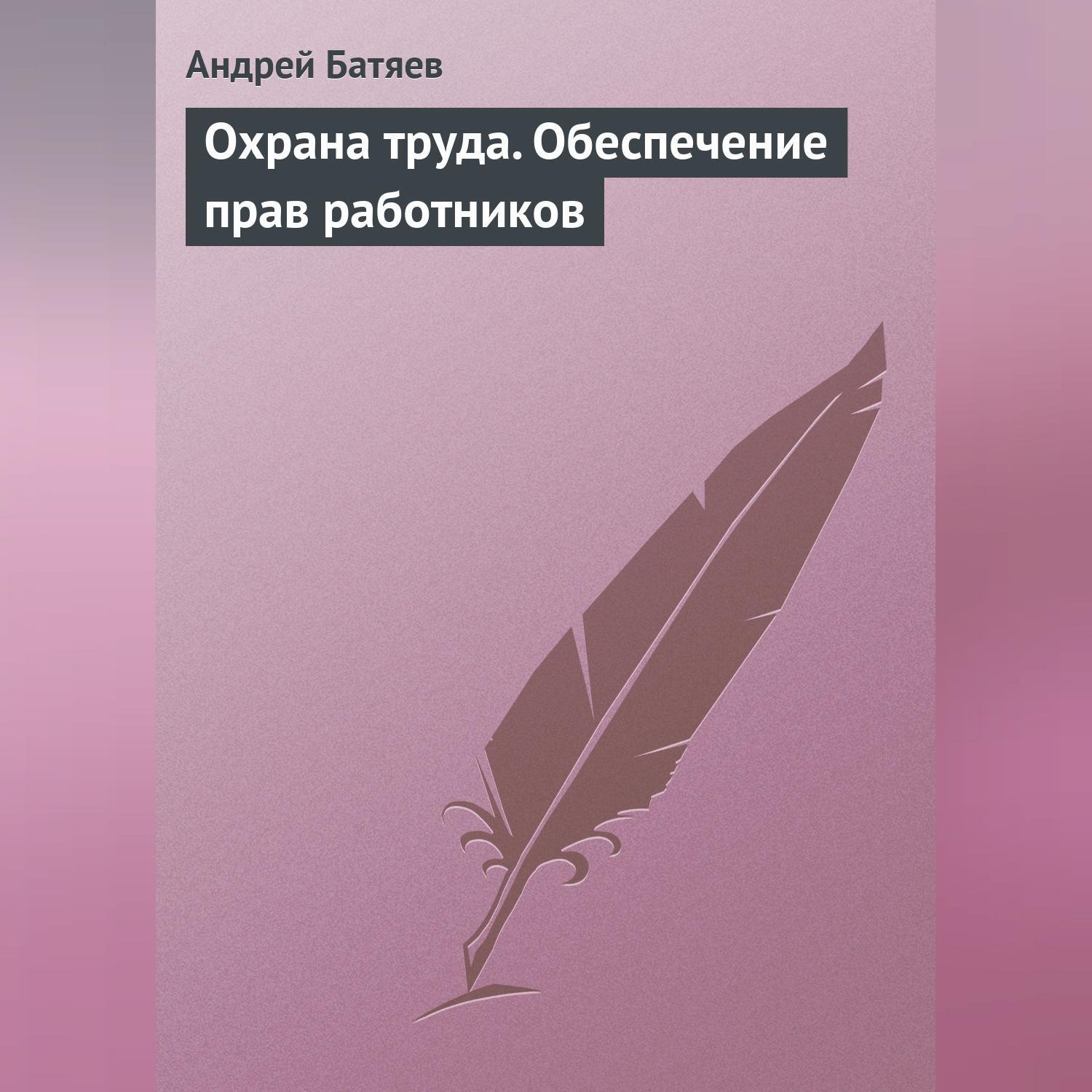 Обложка книги «Охрана труда. Обеспечение прав работников»