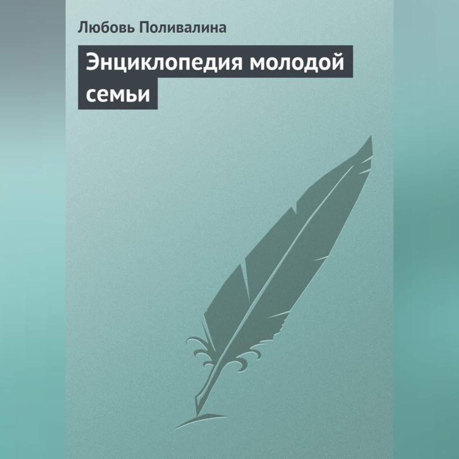 Обложка книги «Энциклопедия молодой семьи»