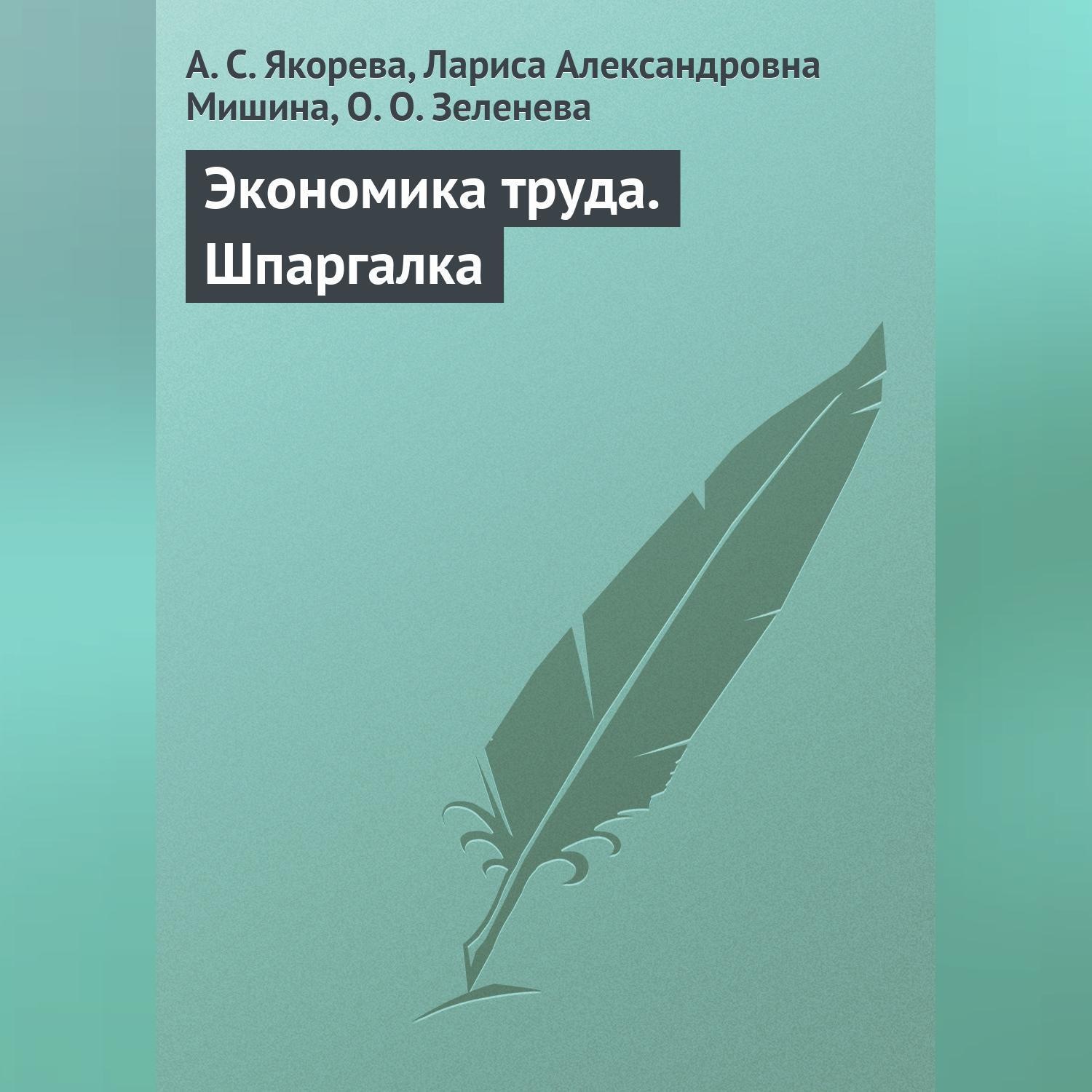 Обложка книги «Экономика труда. Шпаргалка»