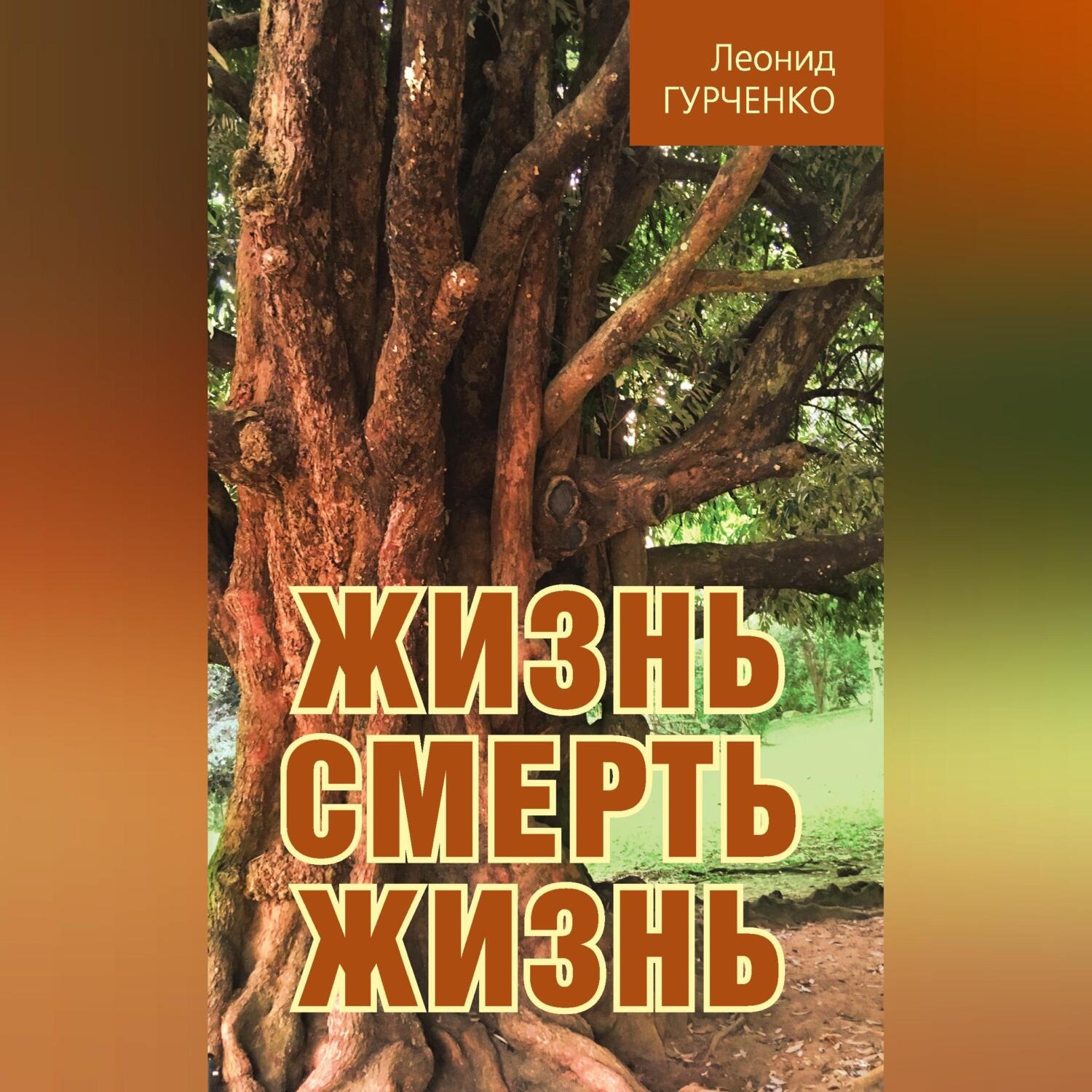 Обложка книги «Жизнь – смерть – жизнь»