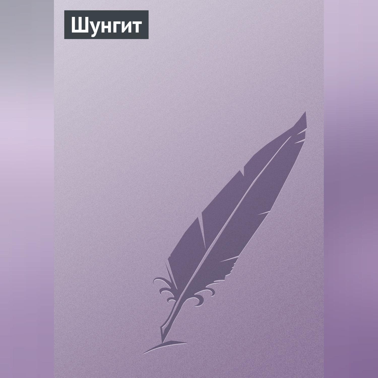 Обложка книги «Шунгит»