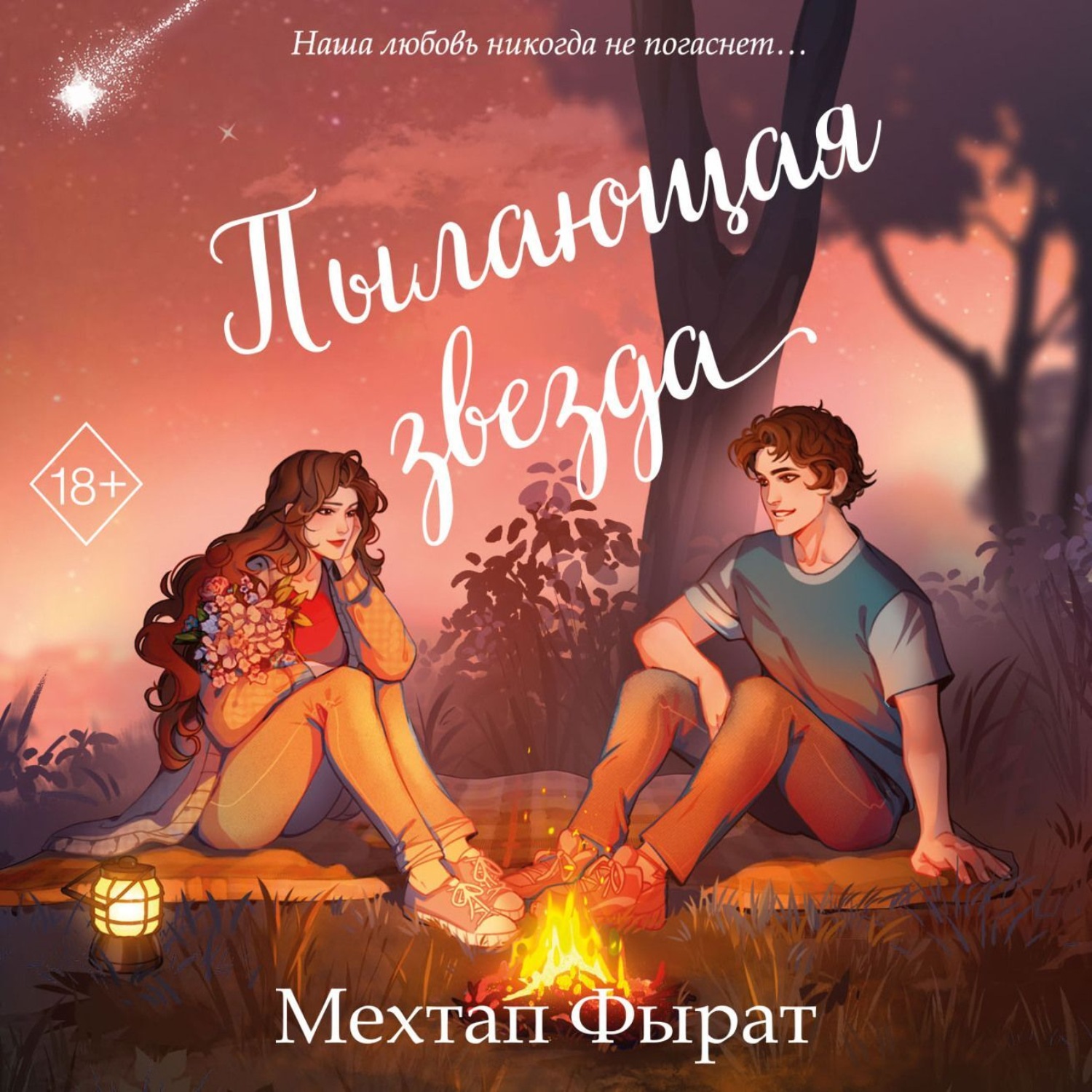 Обложка книги «Пылающая звезда»