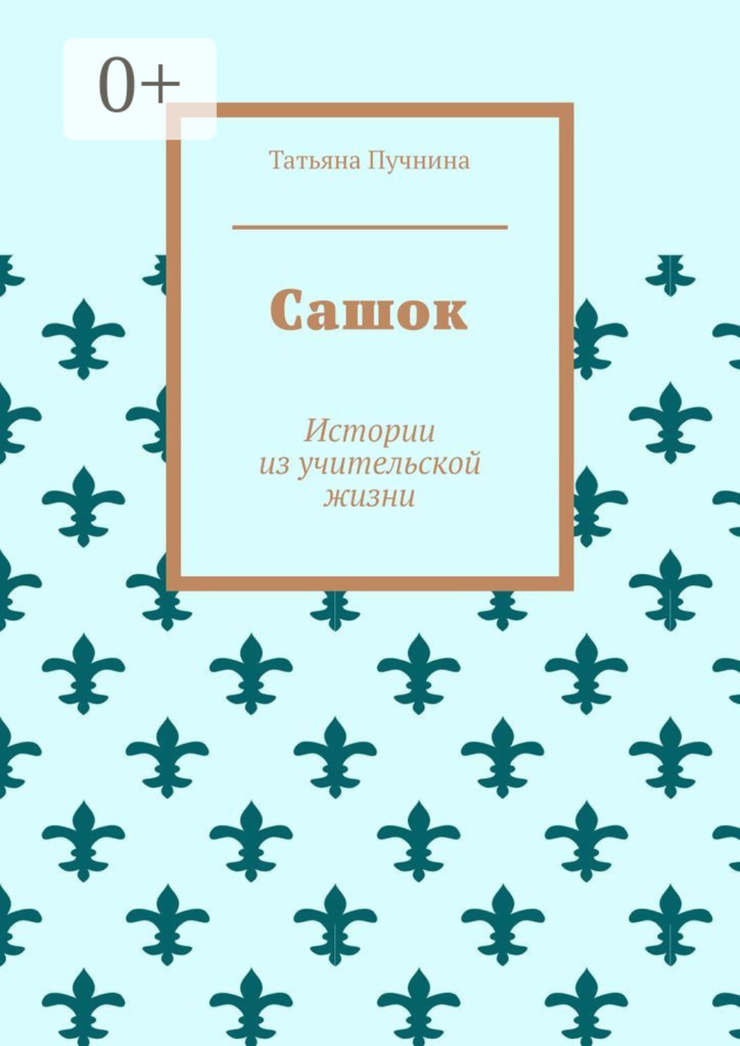 Обложка книги «Сашок. Истории из учительской жизни»