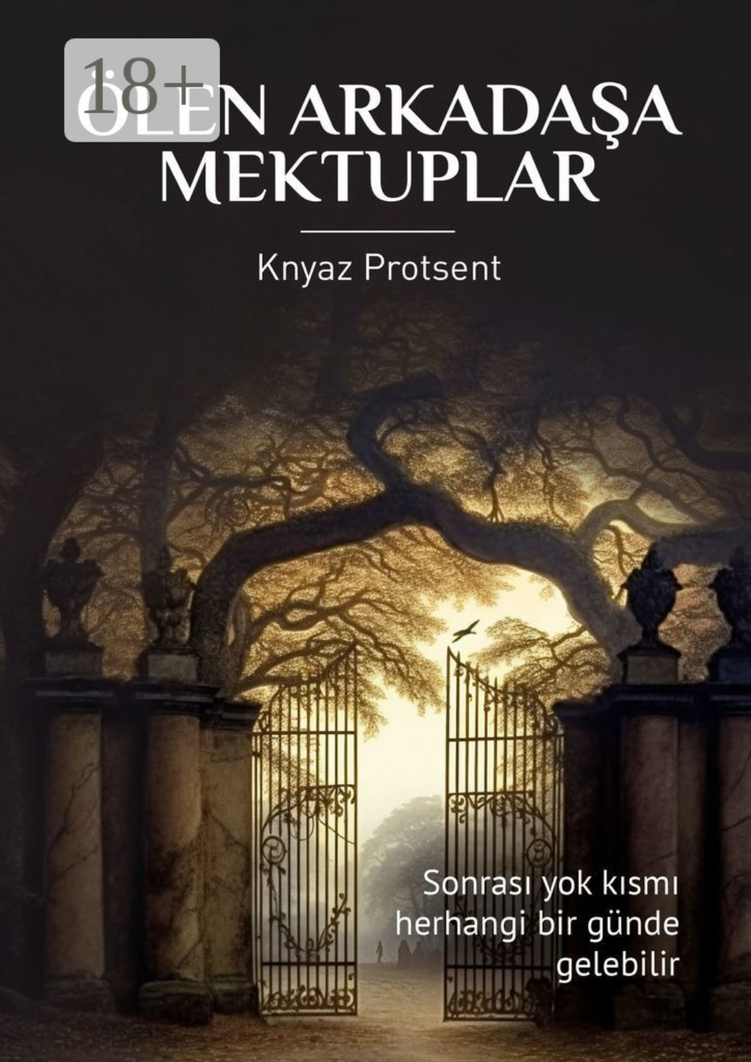 Обложка книги «Ölen Arkadaşa Mektuplar»