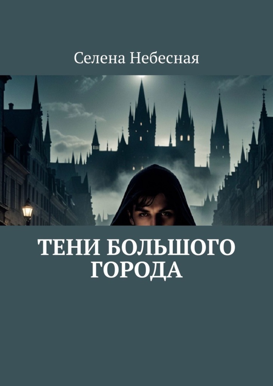 Обложка книги «Тени большого города»