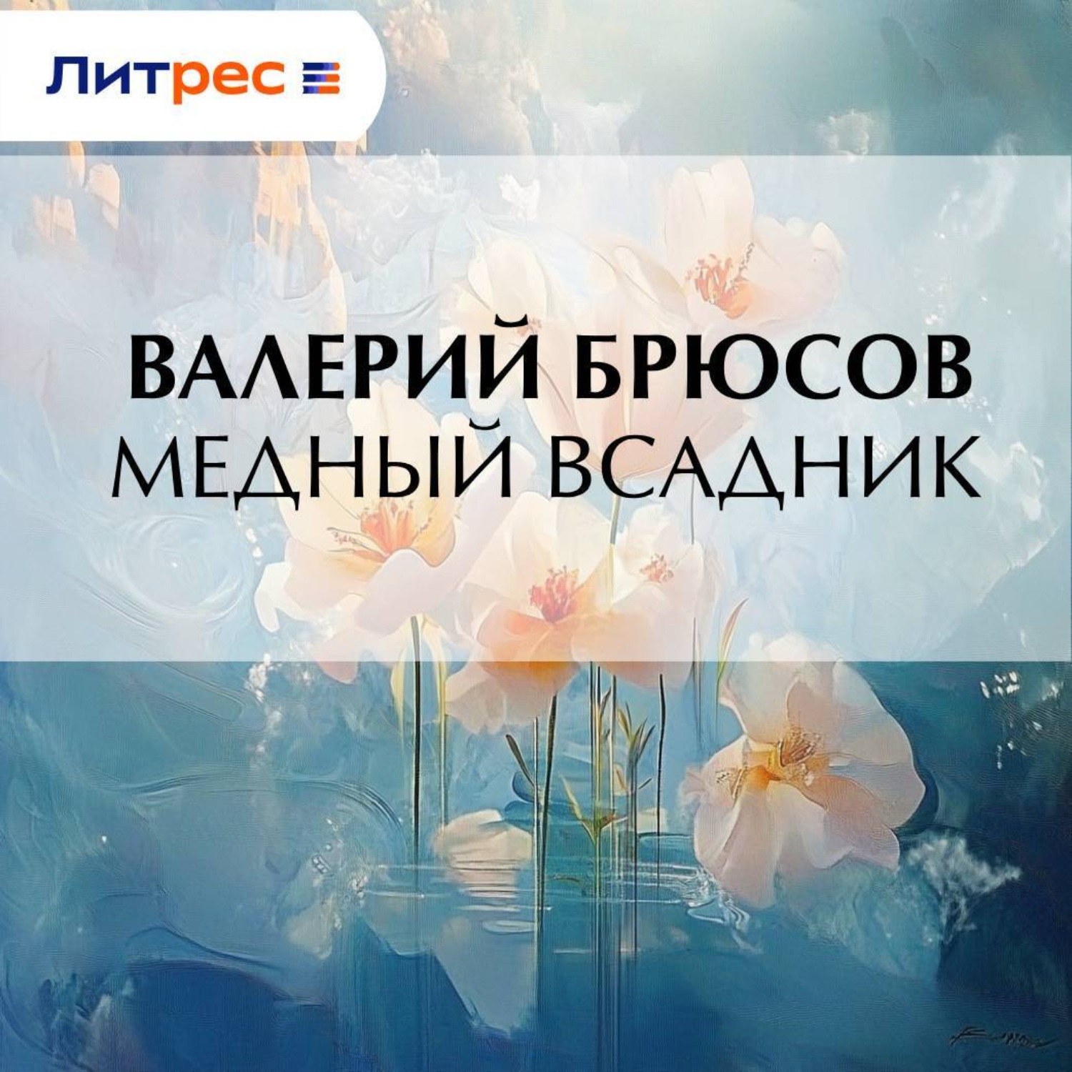 Обложка книги «Медный Всадник»