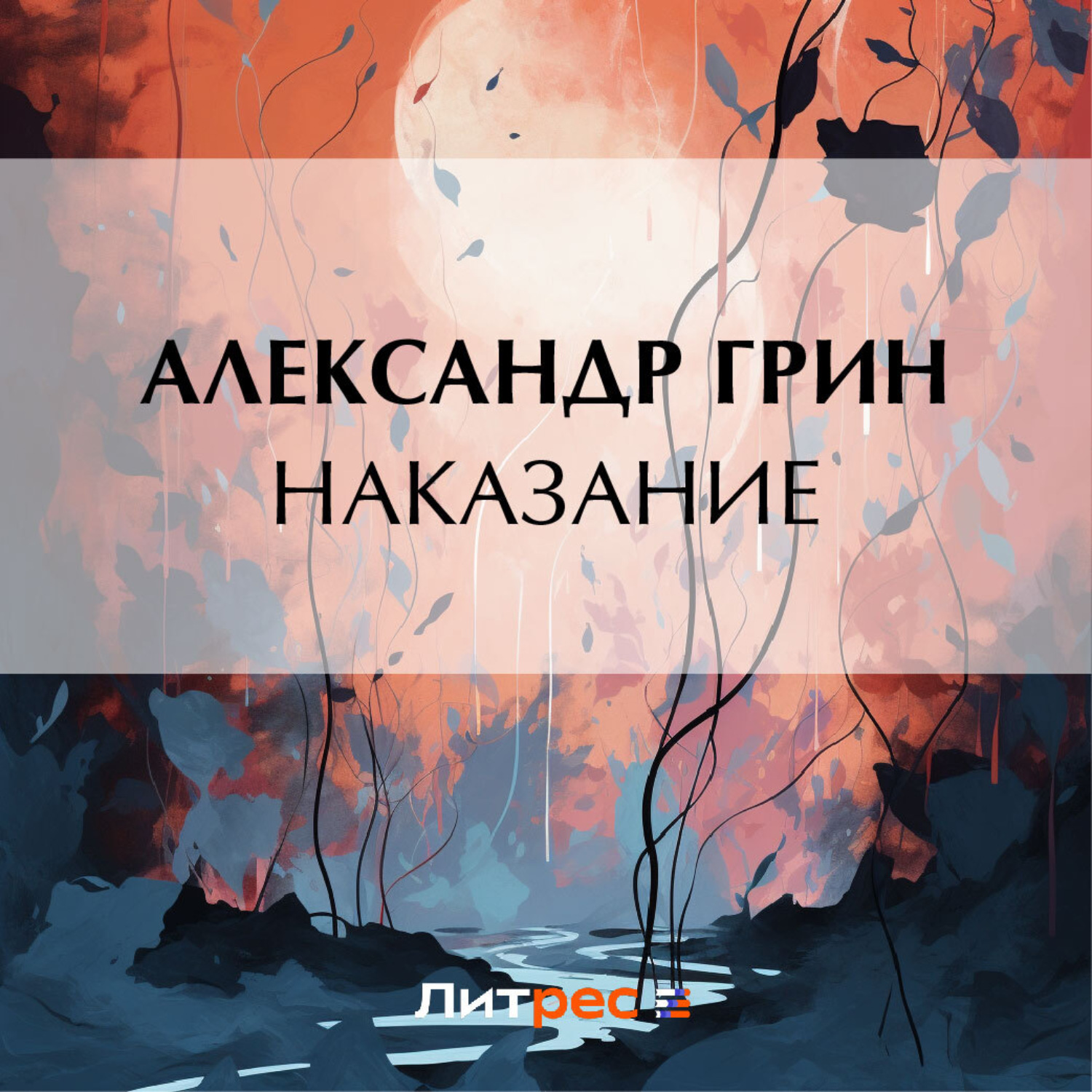 Обложка книги «Наказание»
