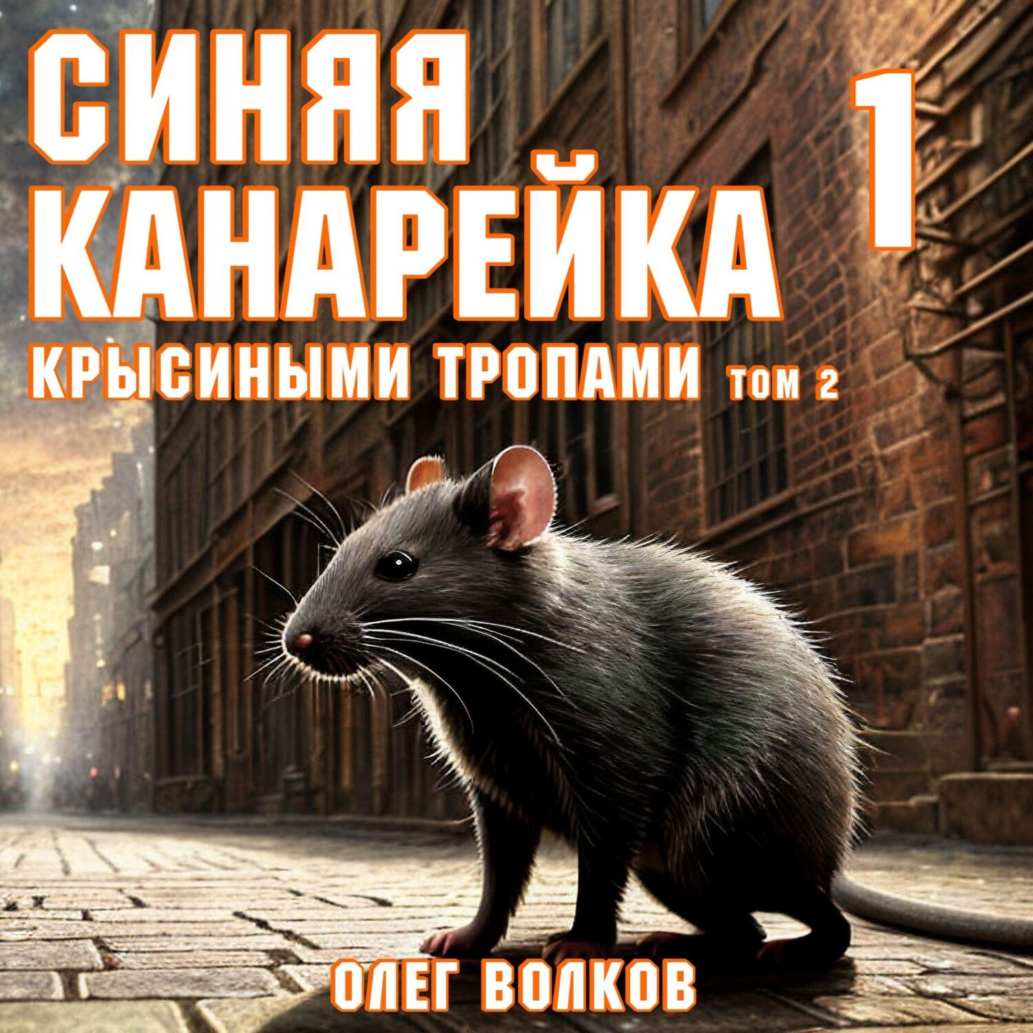 Обложка книги «Крысиными тропами. Том II»