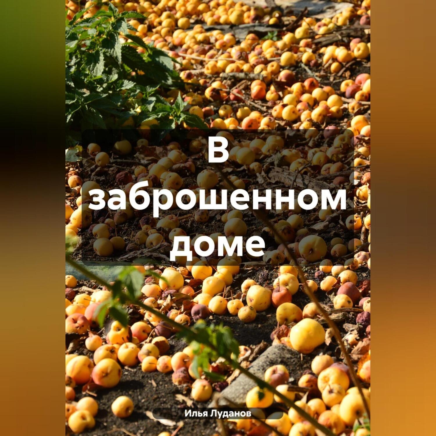 Обложка книги «В заброшенном доме»