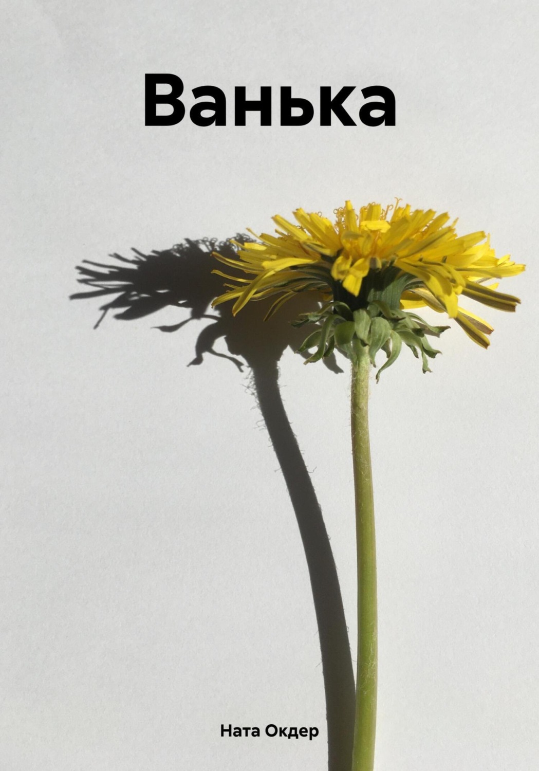 Обложка книги «Ванька»
