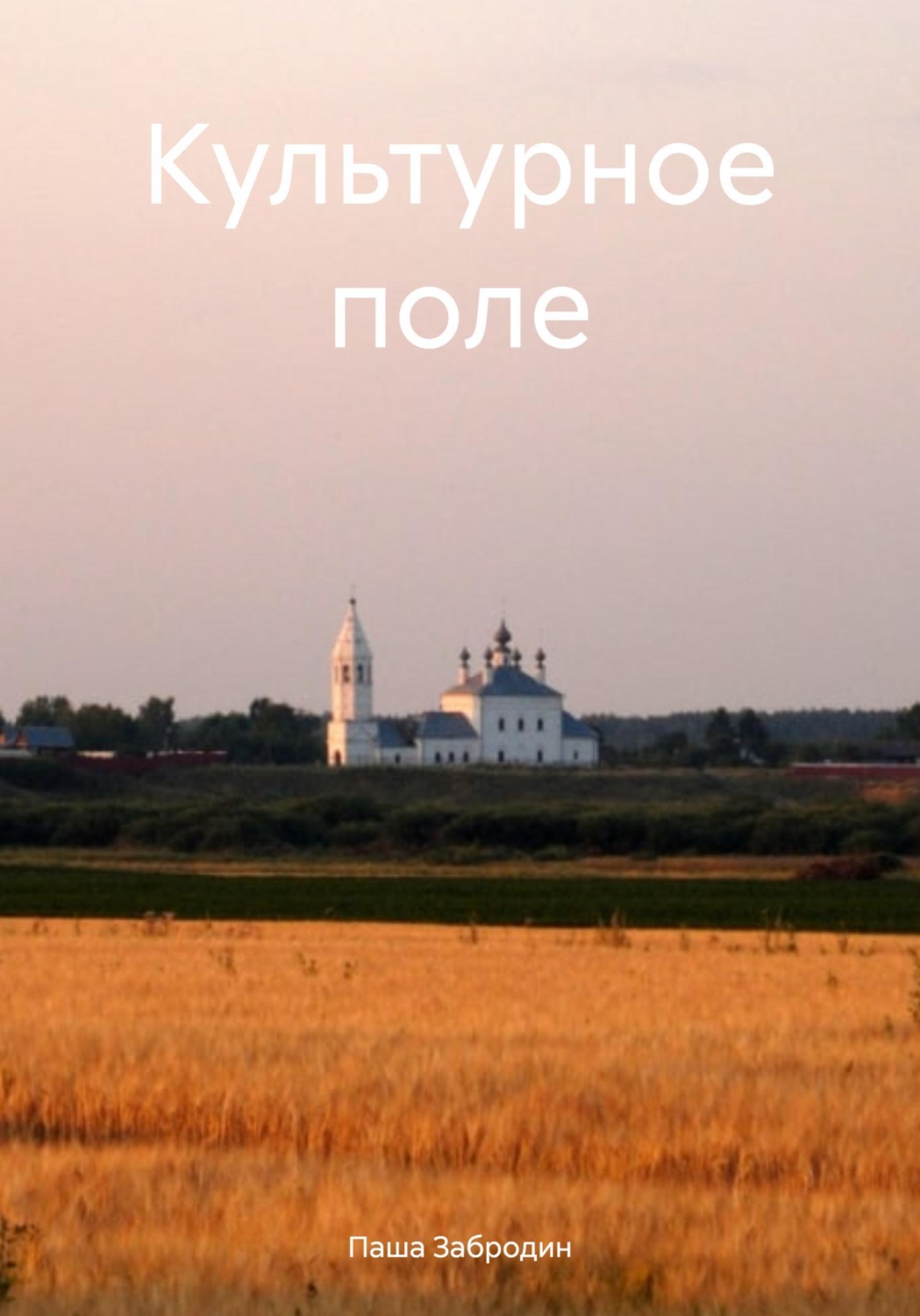 Обложка книги «Культурное поле»