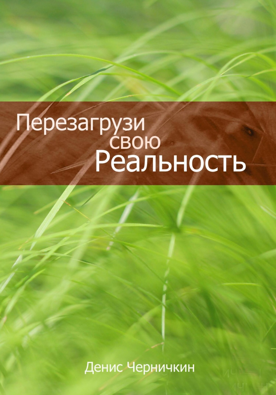 Обложка книги «Перезагрузи свою реальность»