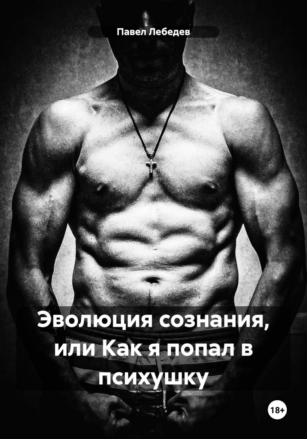 Обложка книги «Эволюция сознания, или Как я попал в психушку»