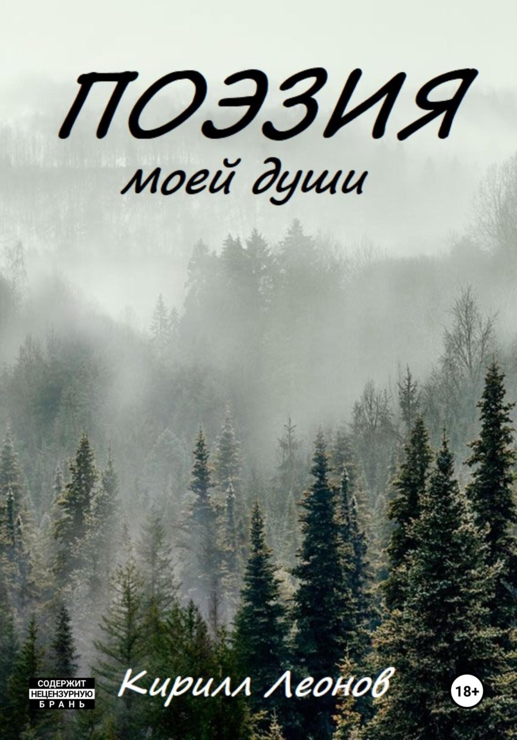 Обложка книги «Поэзия моей души»