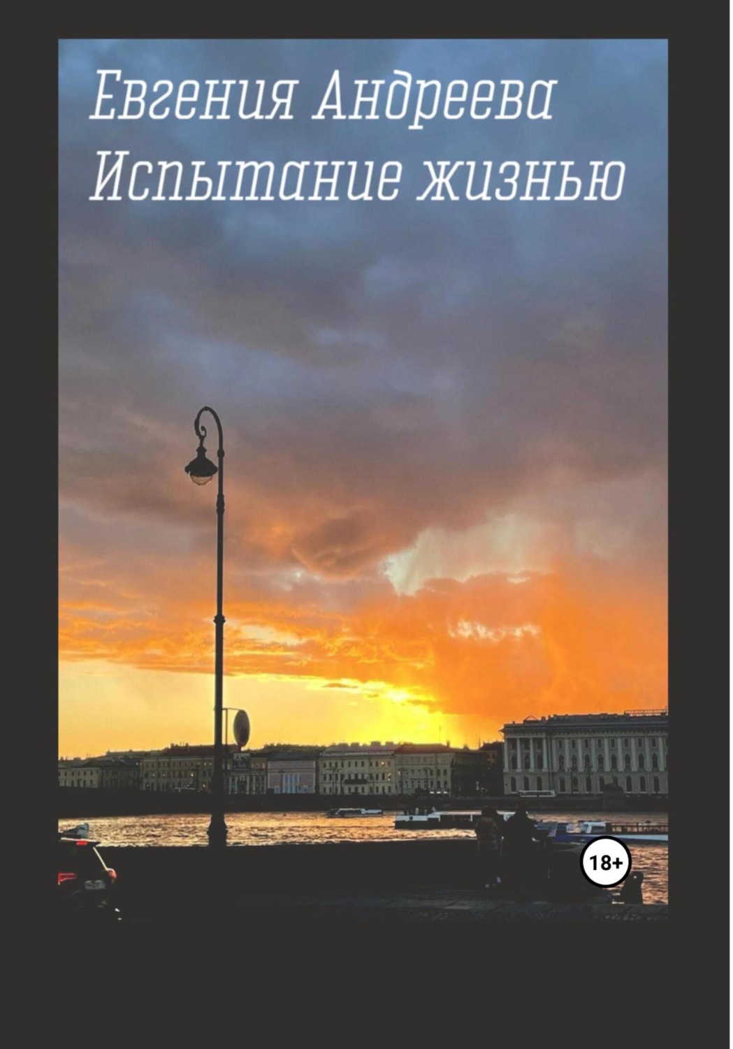 Обложка книги «Испытание жизнью»