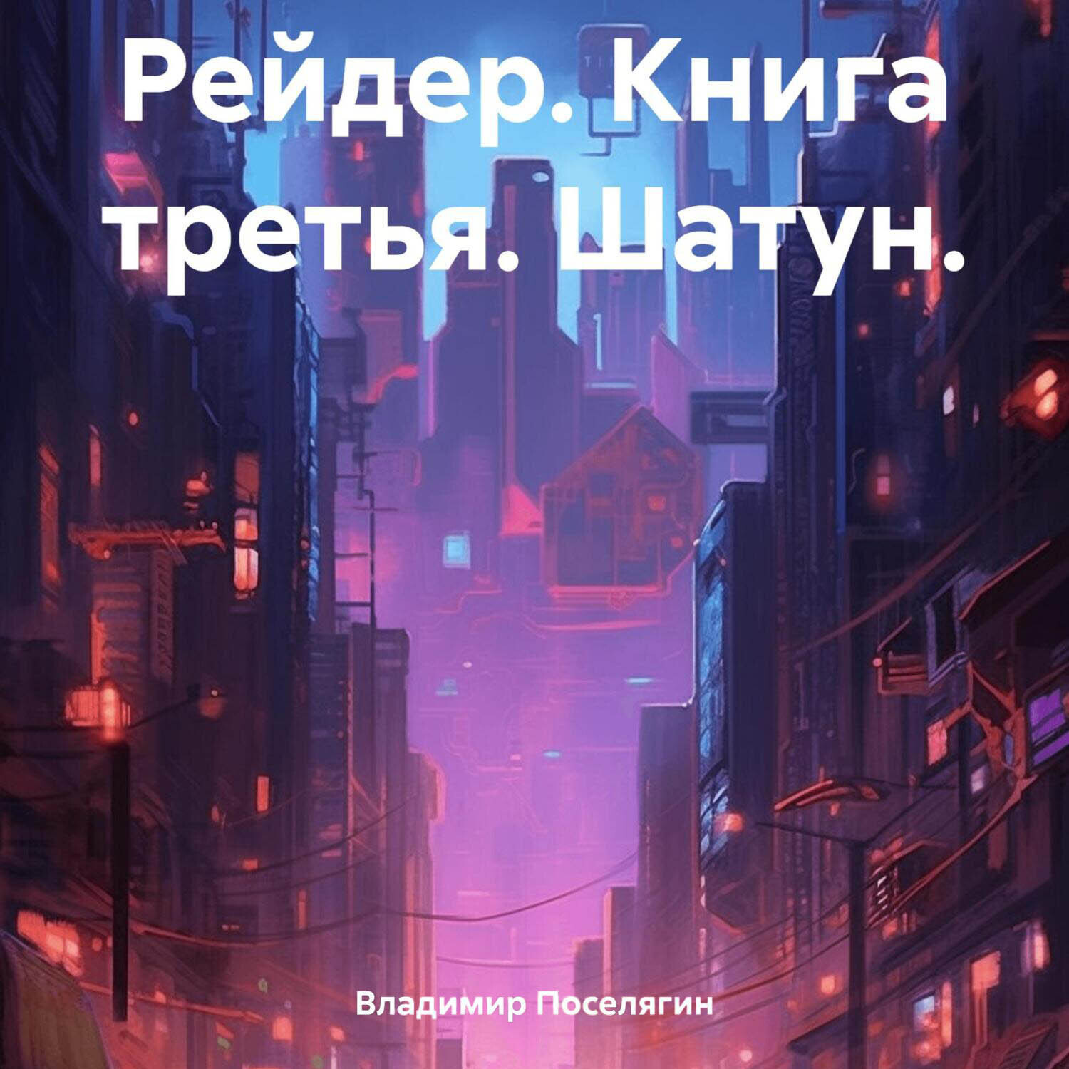 Обложка книги «Рейдер. Книга третья. Шатун.»