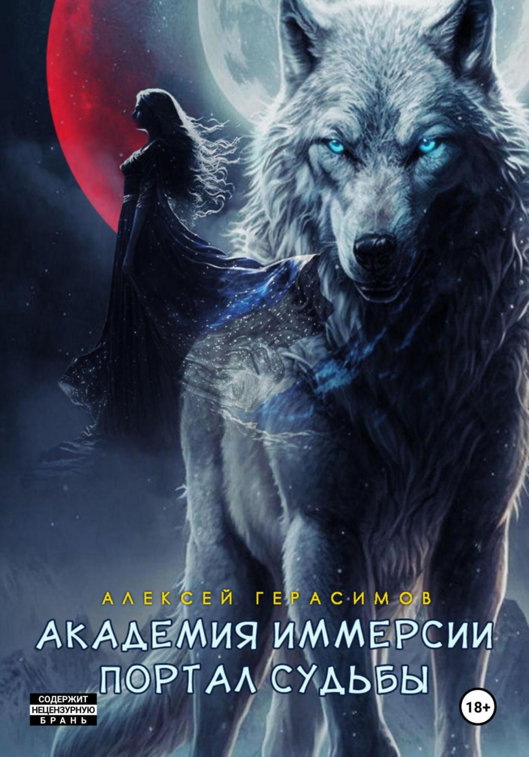 Обложка книги «Академия Иммерсии: Портал судьбы»