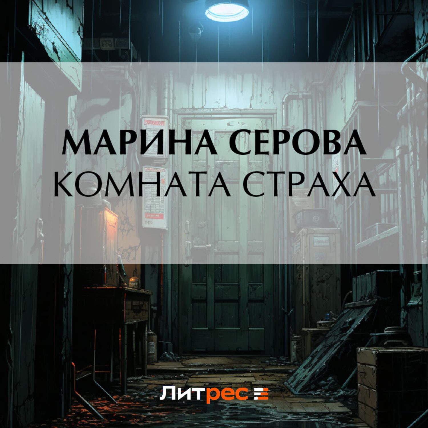 Обложка книги «Комната страха»