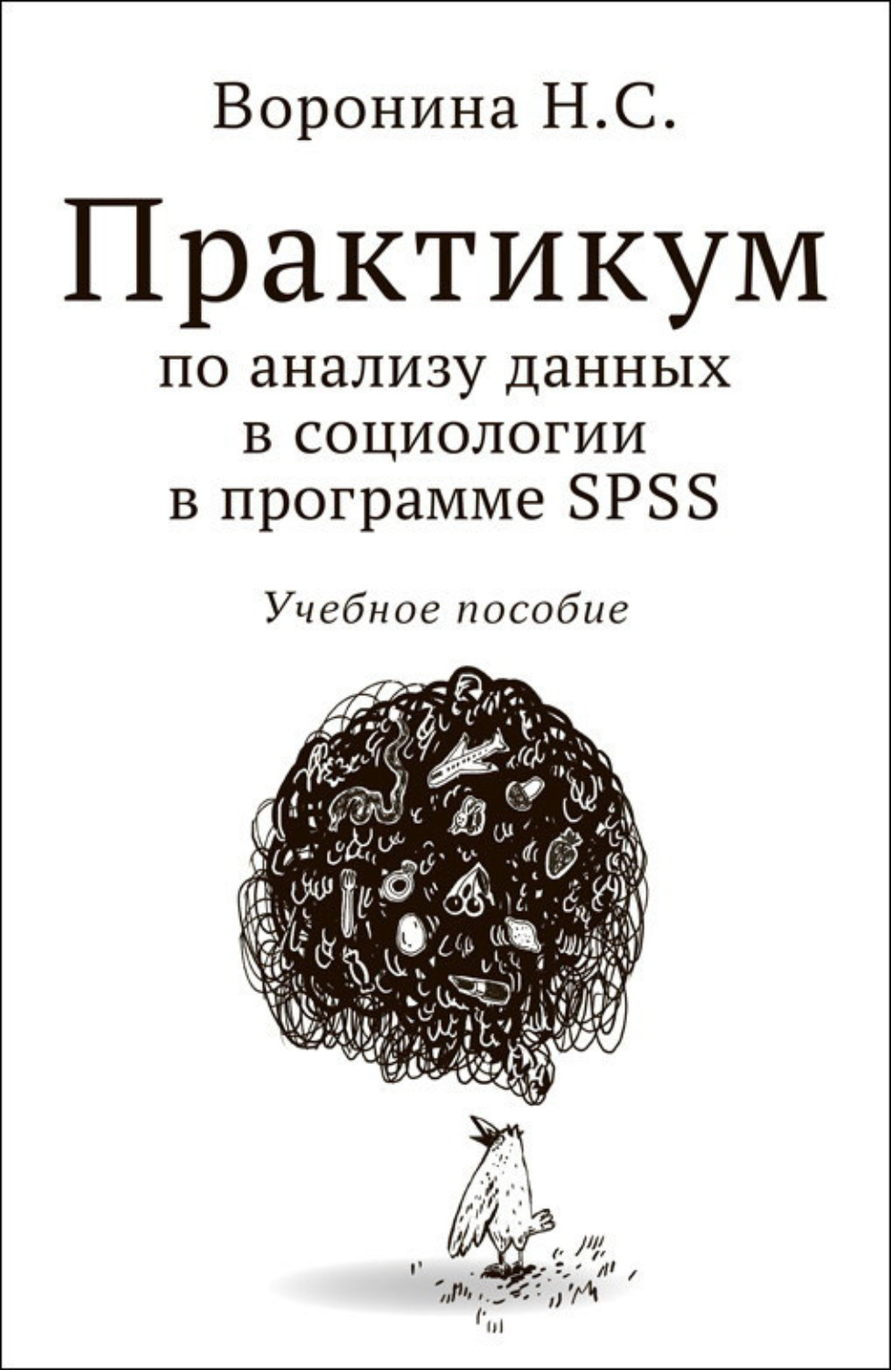 Обложка книги «Практикум по анализу данных в социологии в программе SPSS»