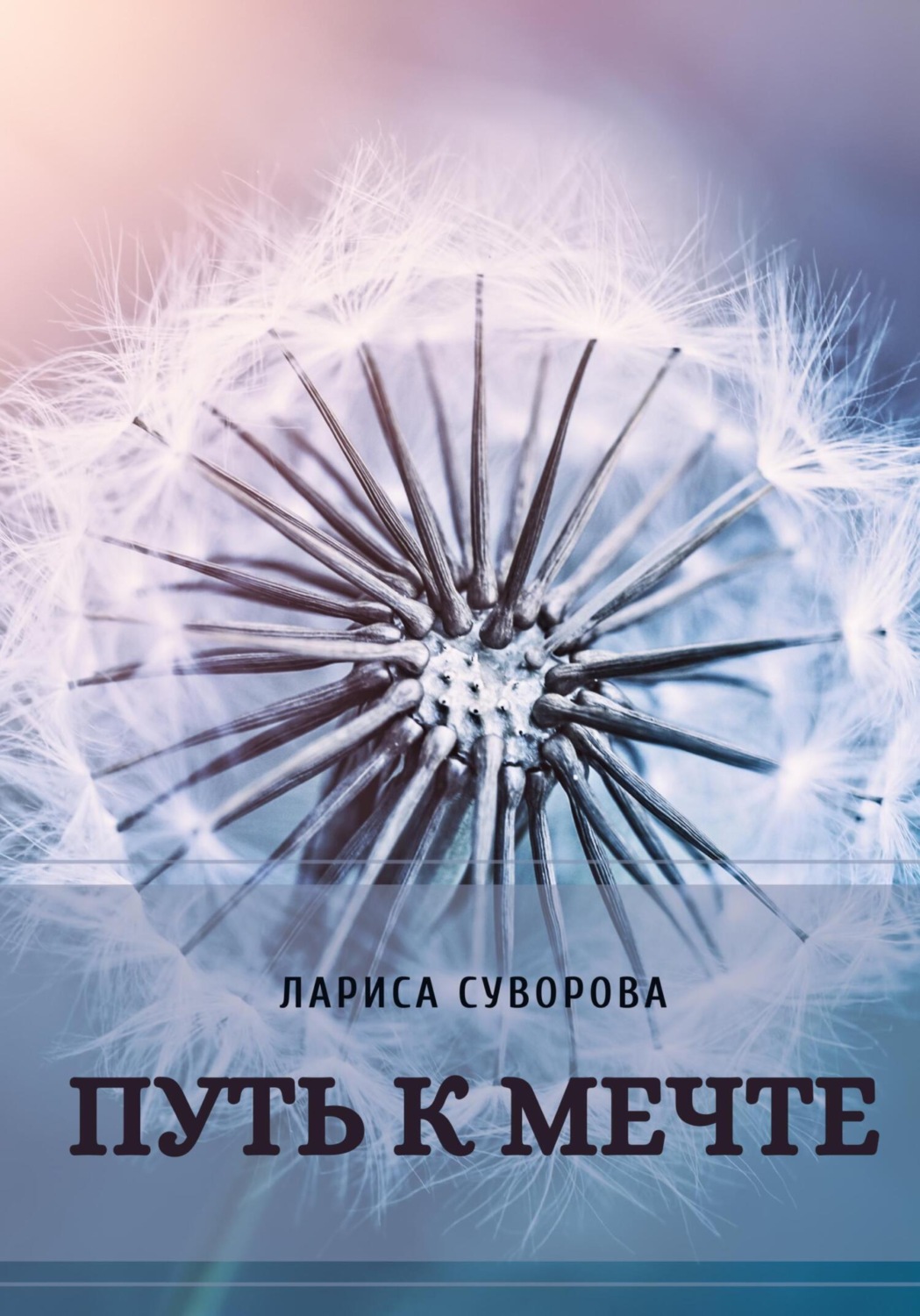 Обложка книги «Путь к мечте»
