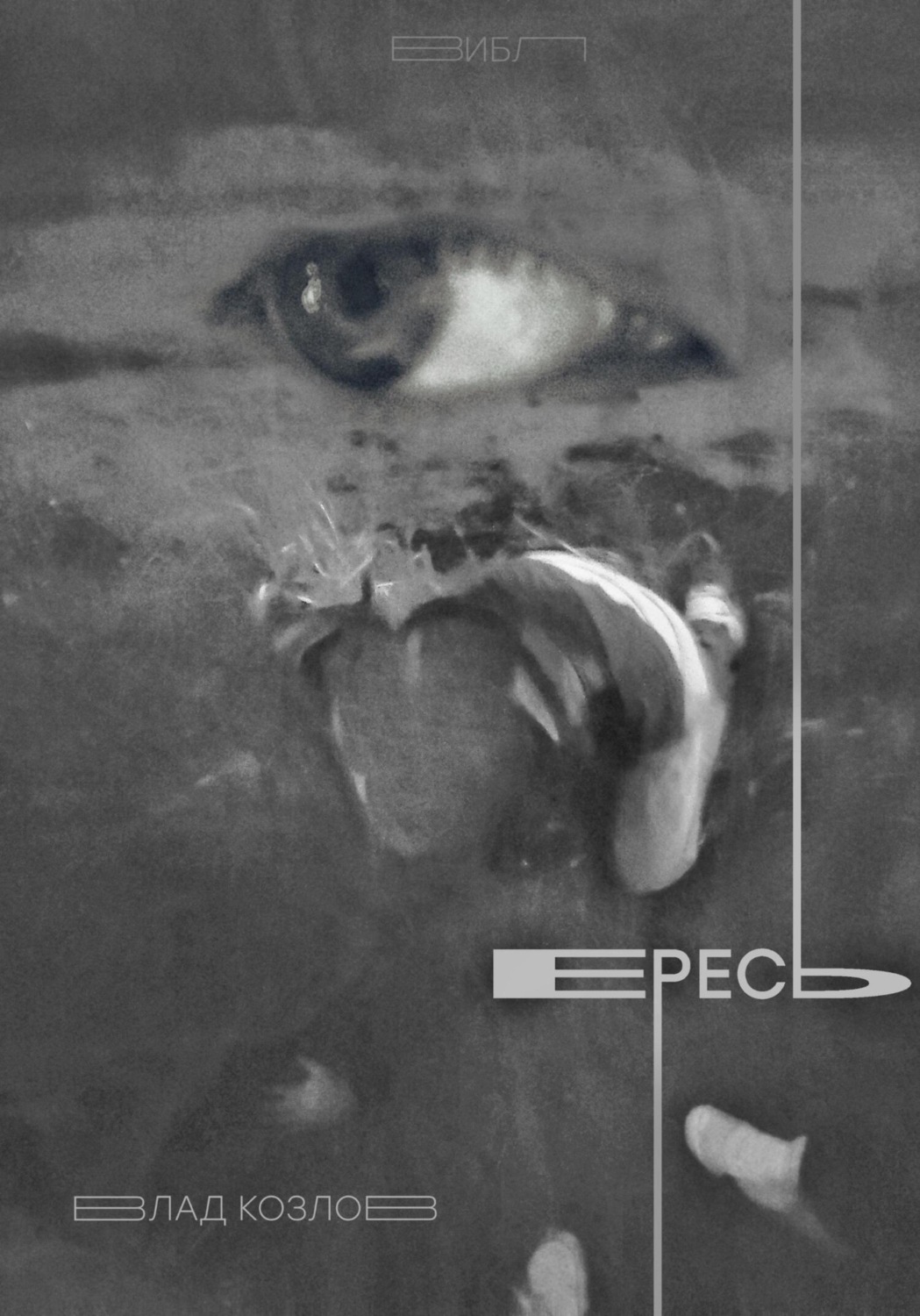 Обложка книги «Ересь»