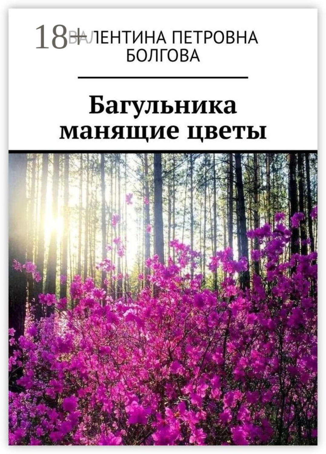Обложка книги «Багульника манящие цветы»