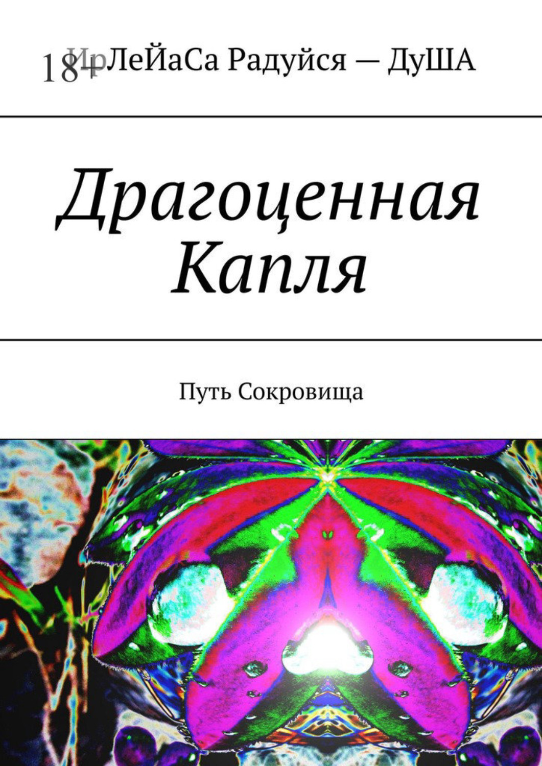 Обложка книги «Драгоценная Капля. Путь Сокровища»