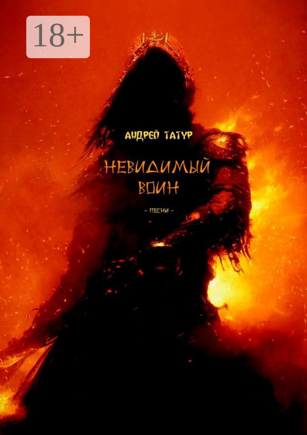 Обложка книги «Невидимый воин. Песни»