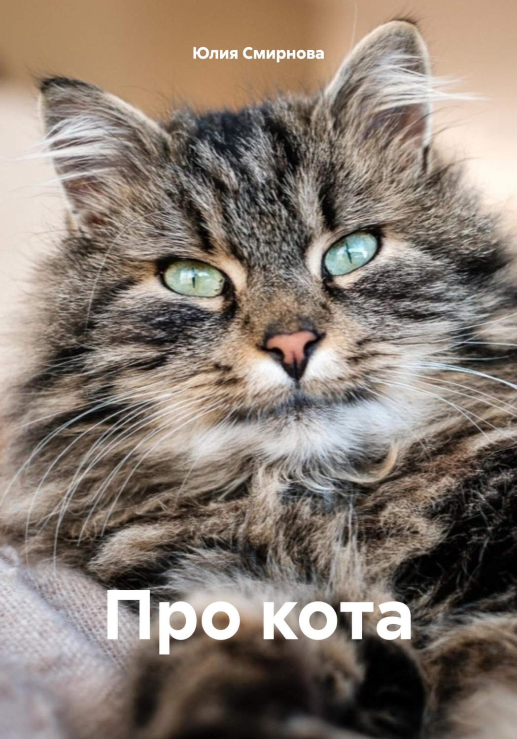 Обложка книги «Про кота»