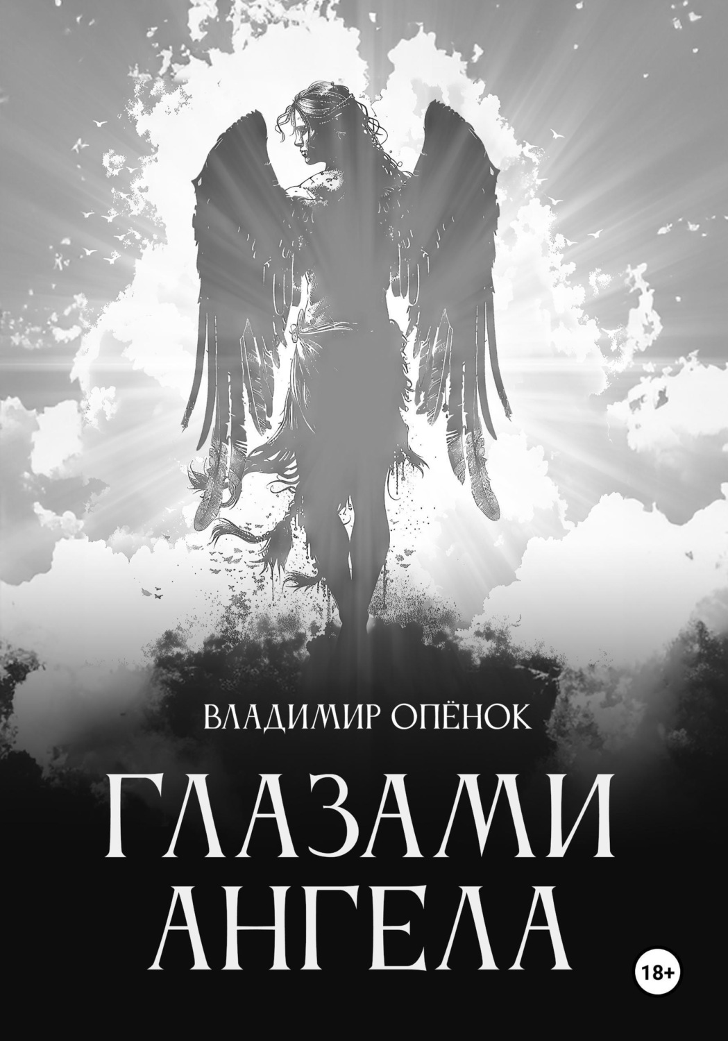 Обложка книги «Глазами Ангела»