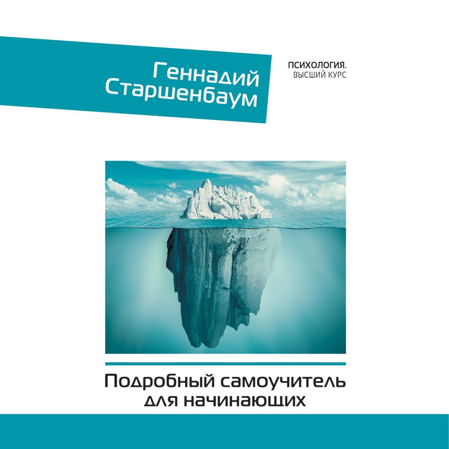 Обложка книги «Психотерапия. Подробный самоучитель для начинающих»