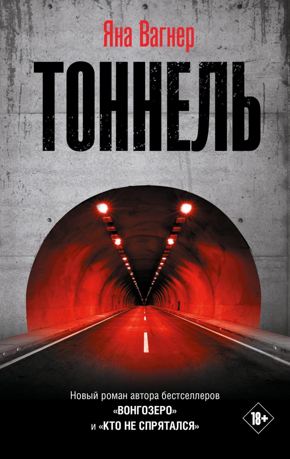 Обложка книги «Тоннель»