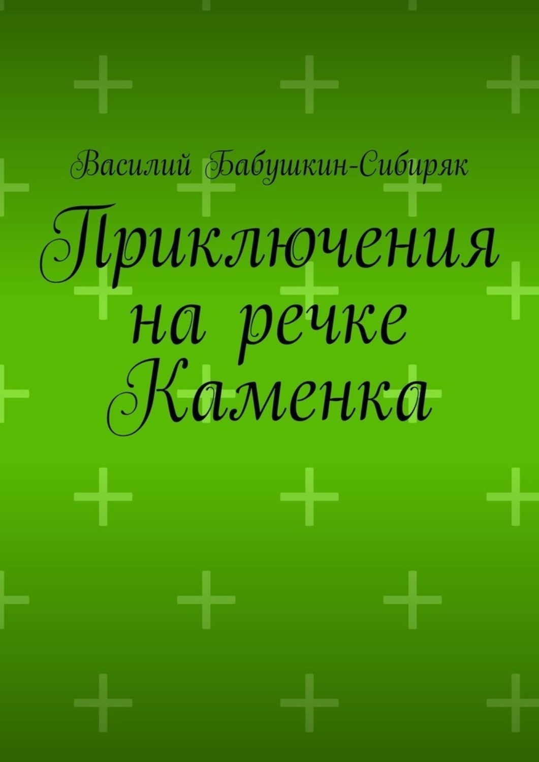 Обложка книги «Приключения на речке Каменка»