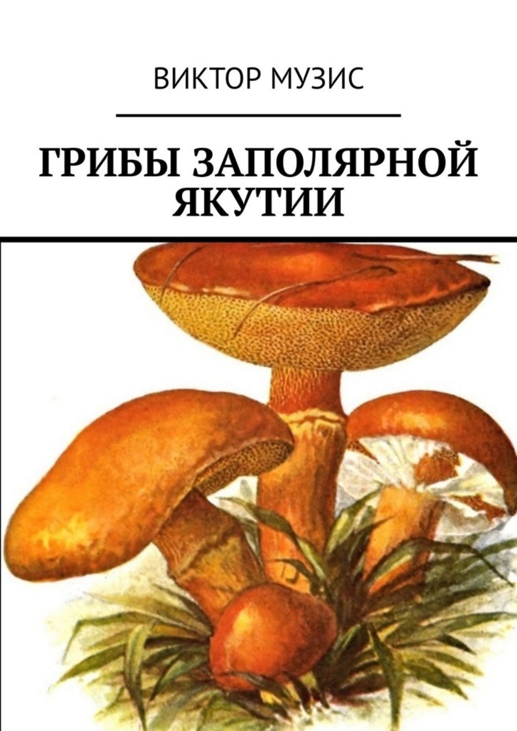 Обложка книги «Грибы заполярной Якутии»