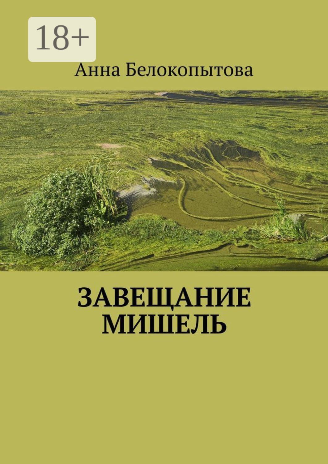 Обложка книги «Завещание Мишель»
