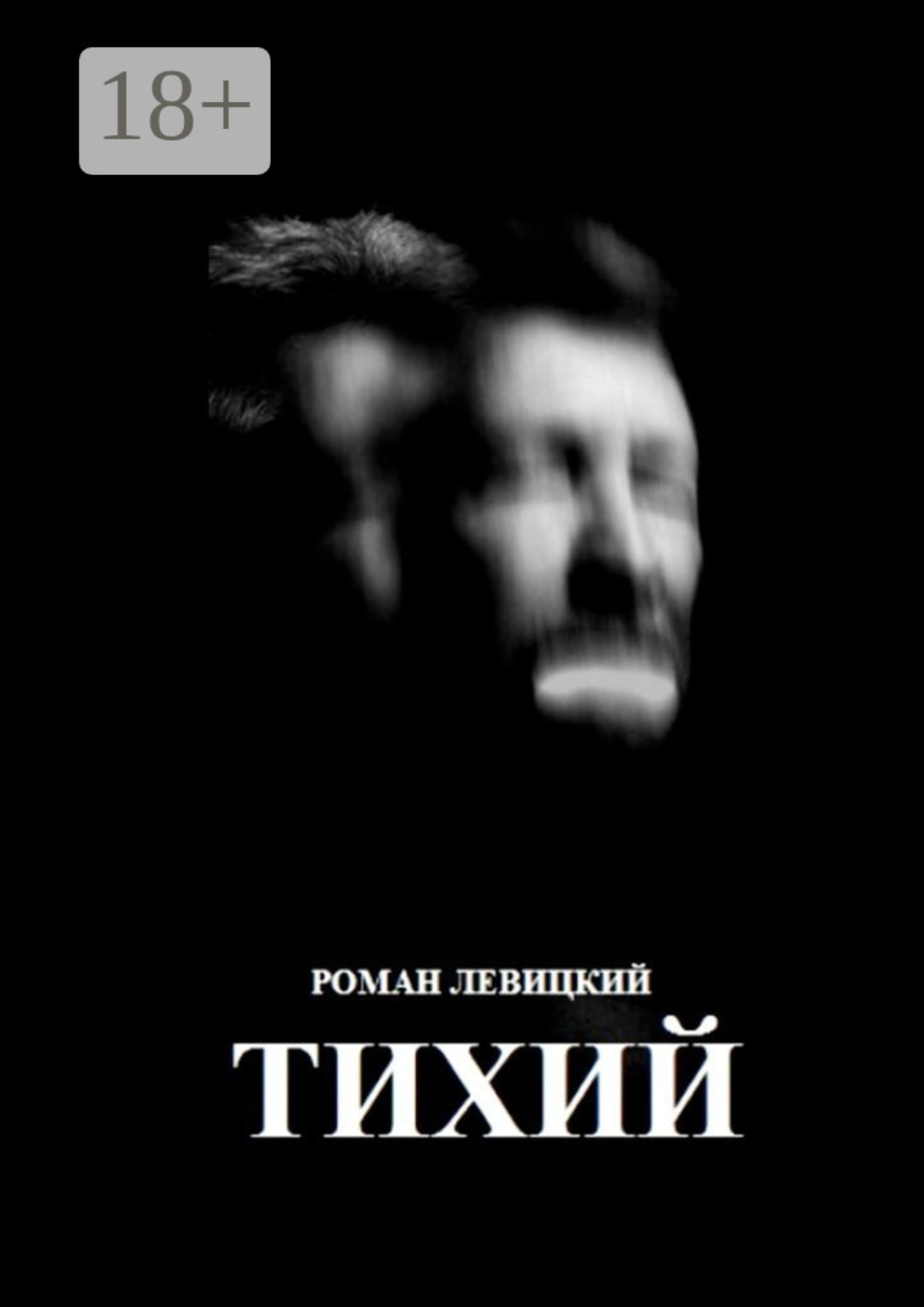 Обложка книги «Тихий»