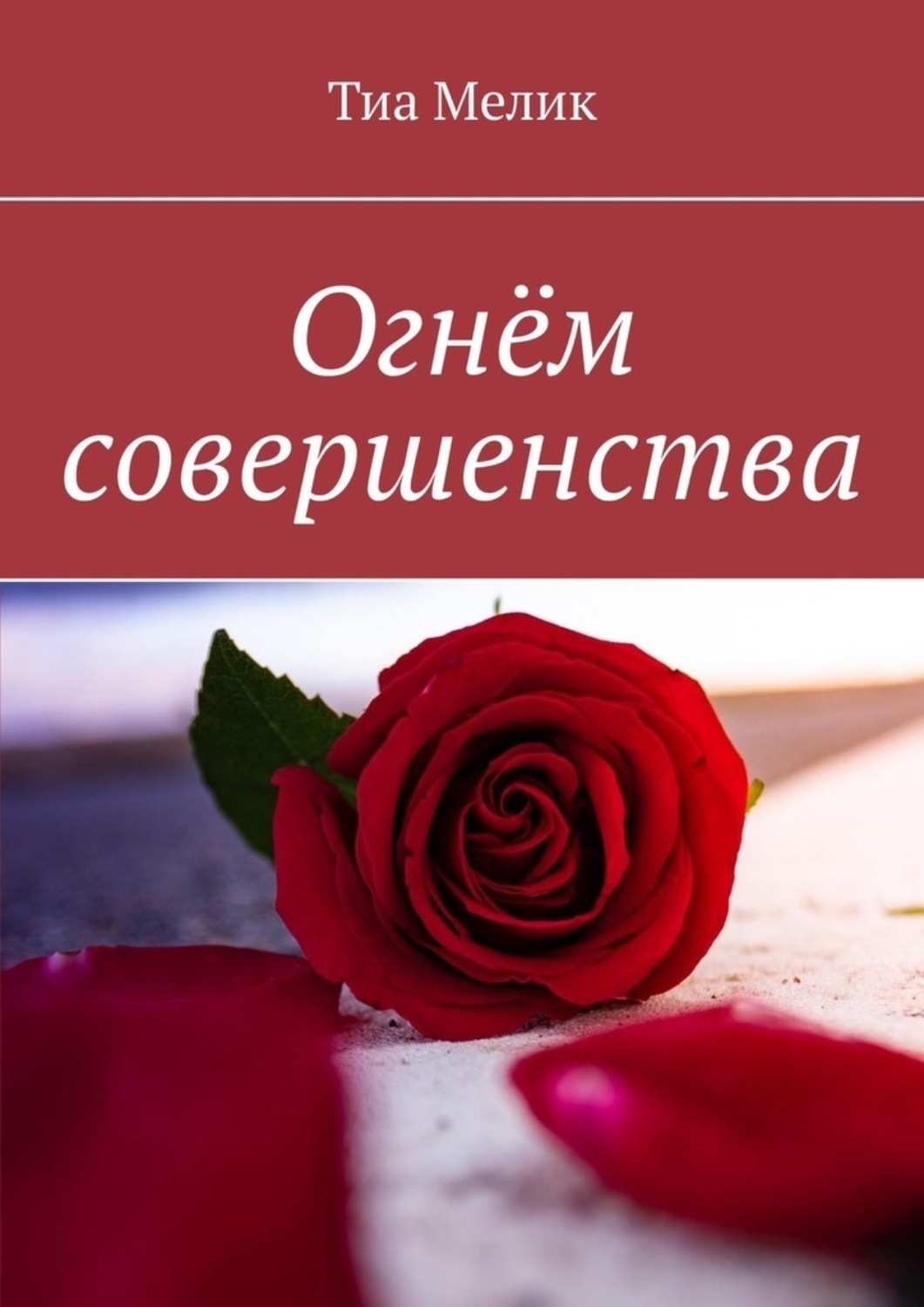 Обложка книги «Огнём совершенства»
