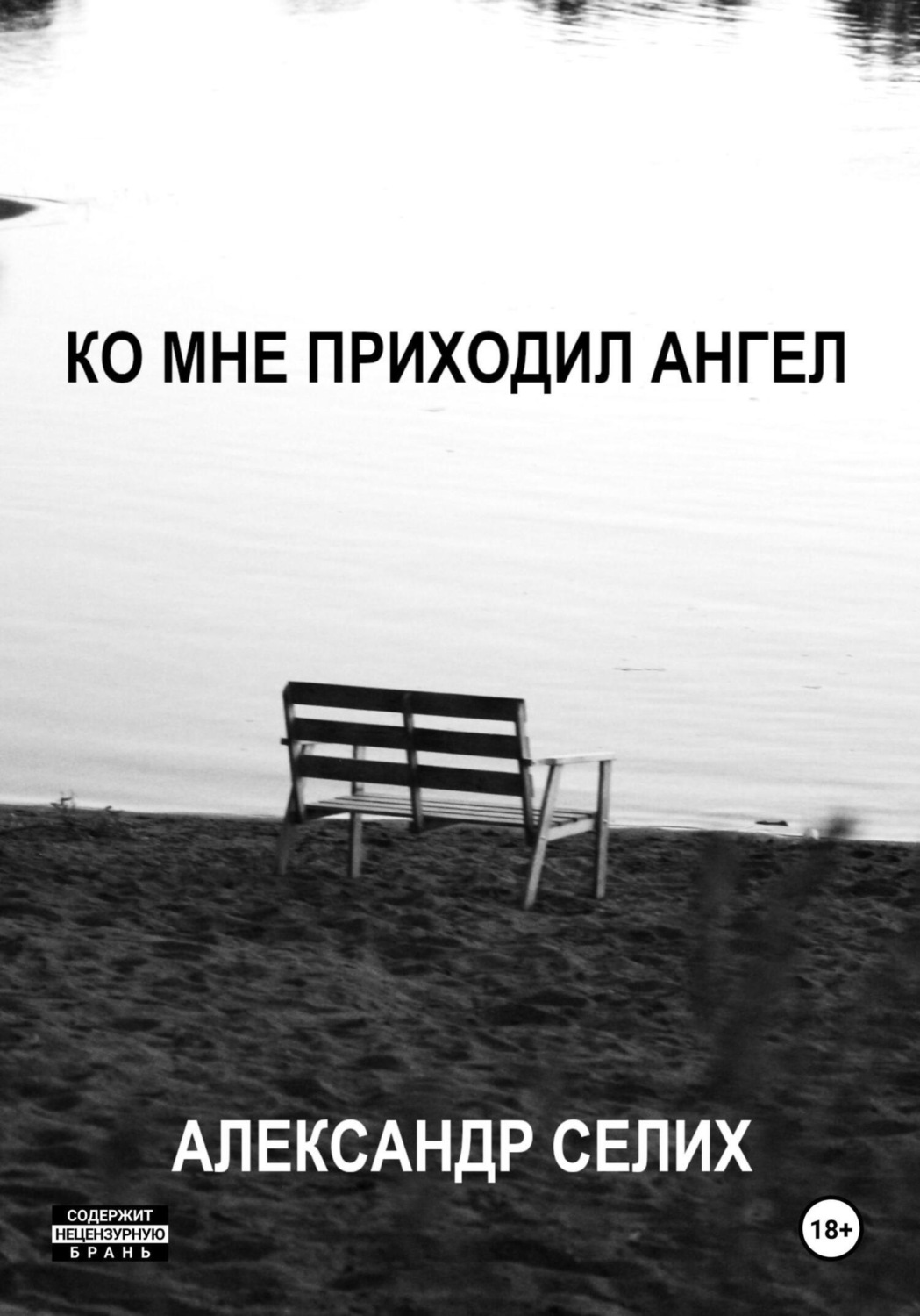 Обложка книги «Ко мне приходил ангел»