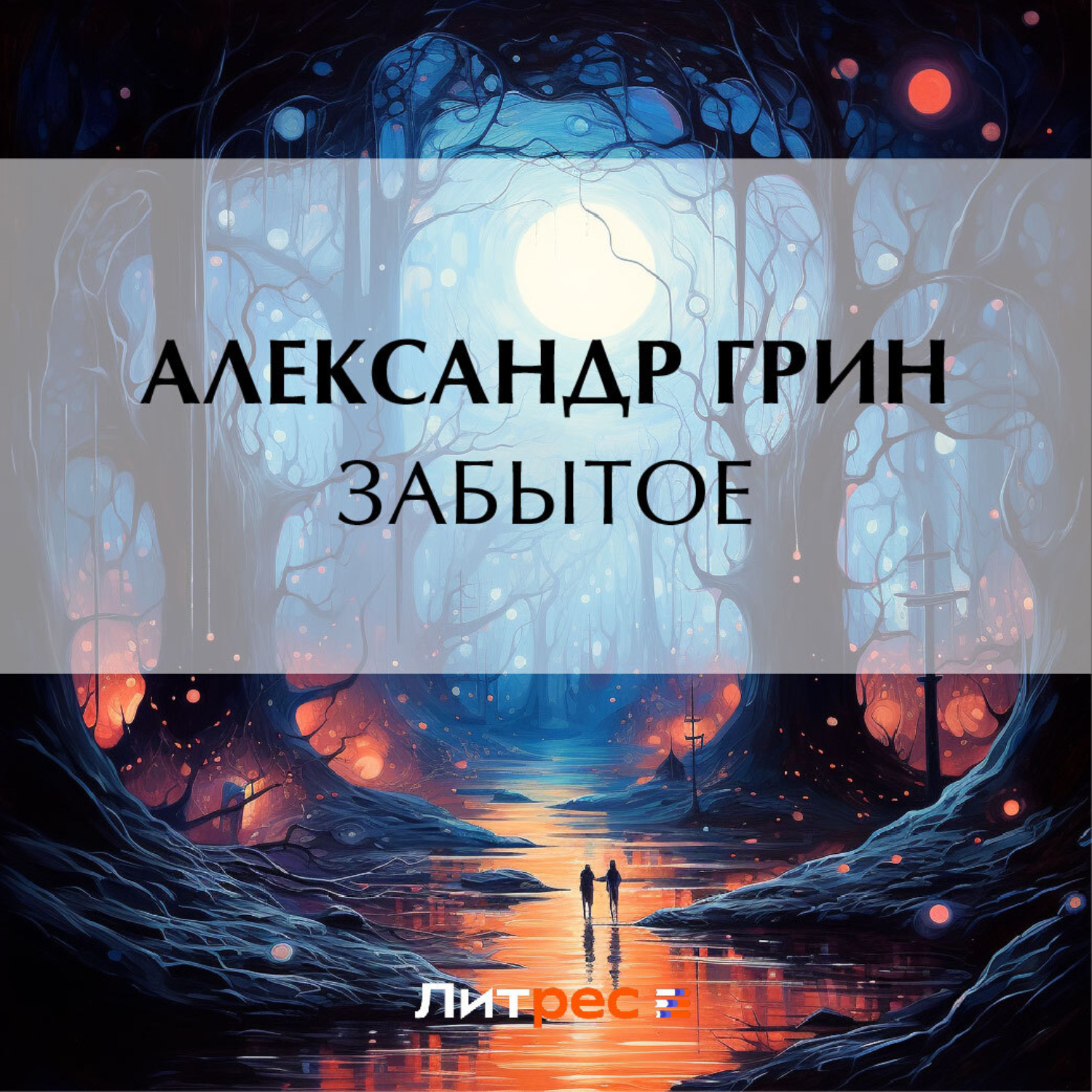 Обложка книги «Забытое»