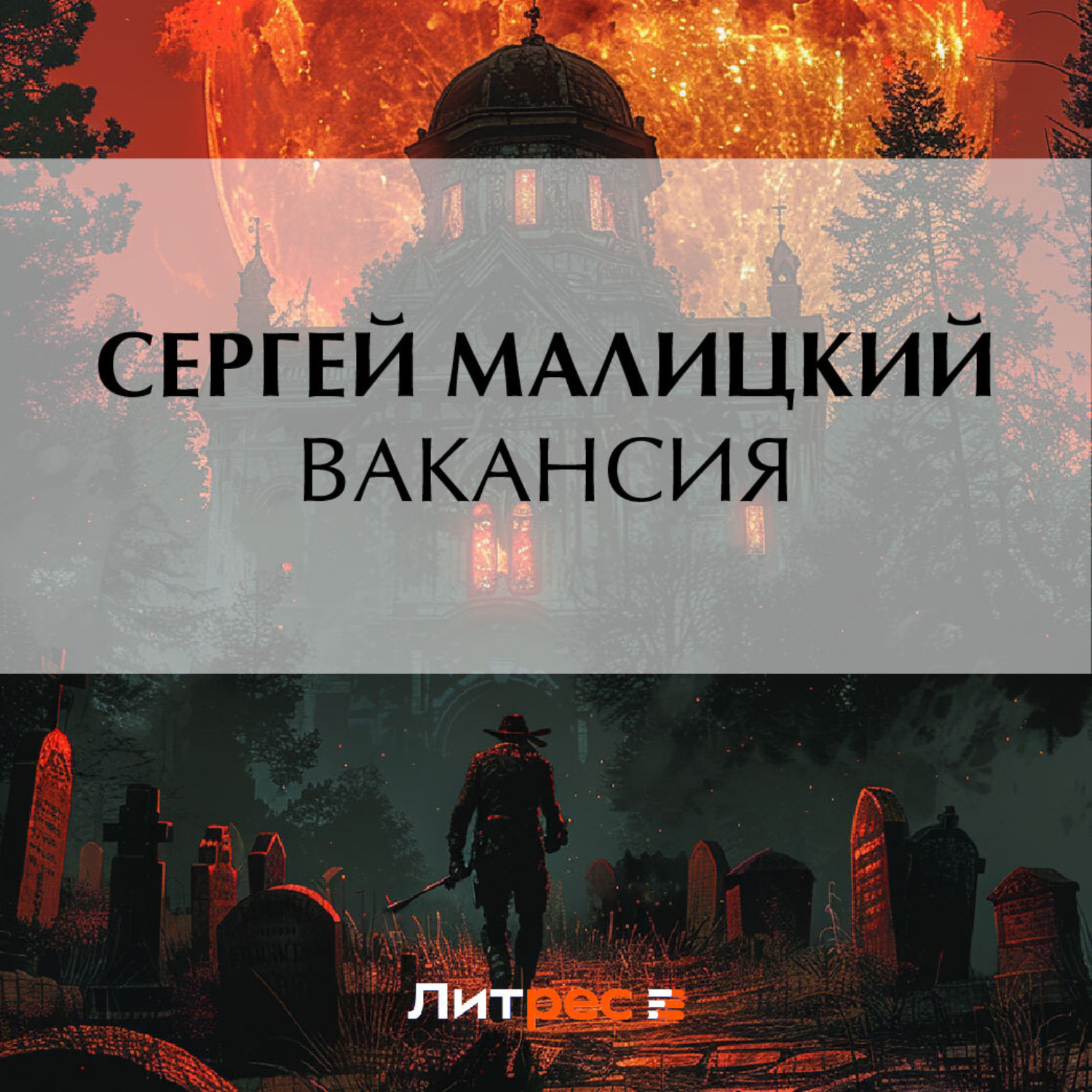 Обложка книги «Вакансия»