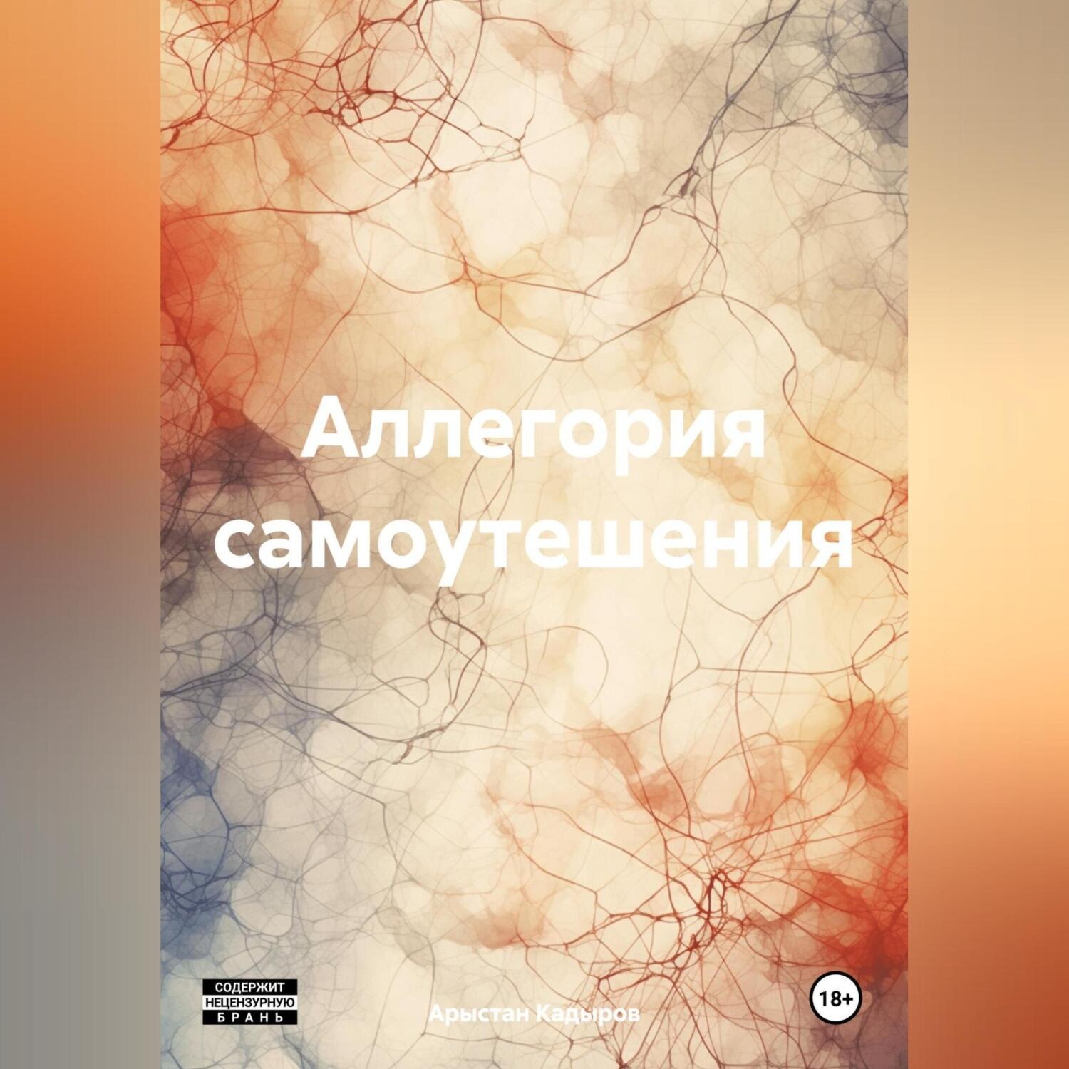 Обложка книги «Аллегория самоутешения»