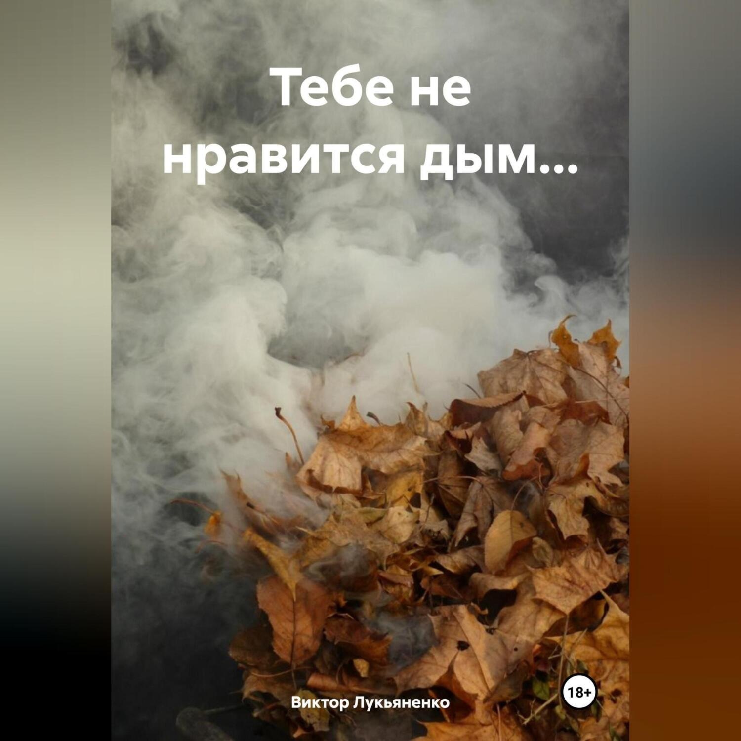 Обложка книги «Тебе не нравится дым…»